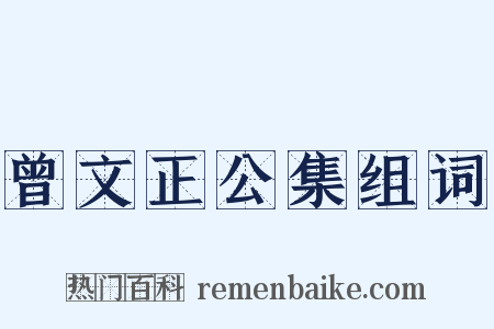 曾文正公集组词是什么意思的图片